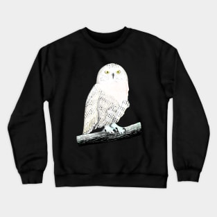 Snowy owl Crewneck Sweatshirt